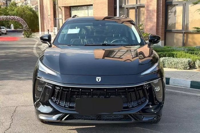 IMG 9481 700x466 - Car rental documents in Tehran